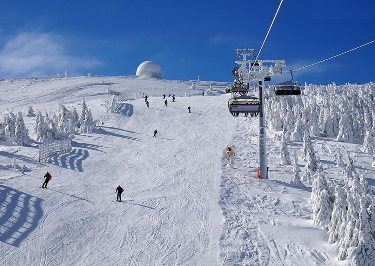 Hotel Olga Dedijer Kopaonik Zewnętrze zdjęcie